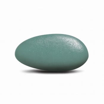 Suikerbonen / Dragees Cactus Blauw Gelakt