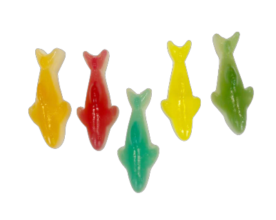 Jelly Stick Haaien - 1 kg